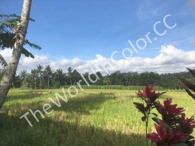 Teras Hotel And Villa Views