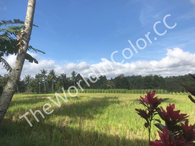 Teras Hotel And Villa Views