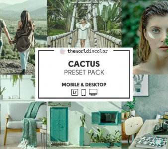Cactus - Presets Pack