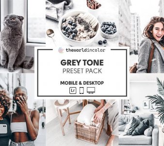 Grey Tone - Presets Pack