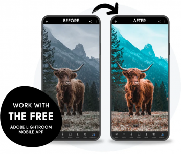 Minimal Grey - Presets Pack