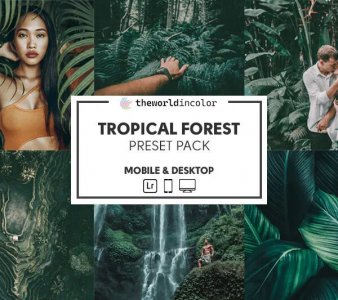 Tropical Forest - Presets Pack