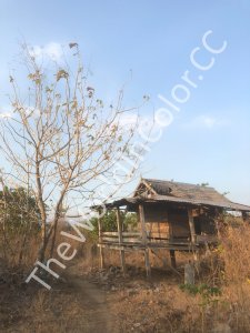Hunter's Hut On Pulau Moyo