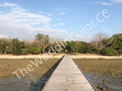 Jetty At Roctopus Dive Center Pulau Moyo